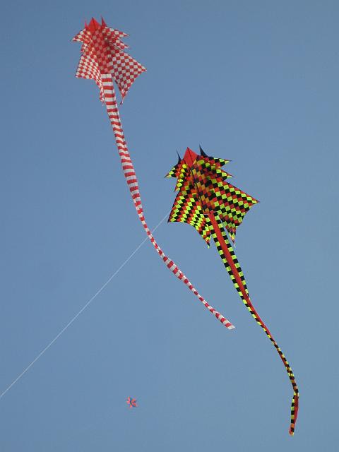 Drachenfest Bergeijk 2009 056.jpg